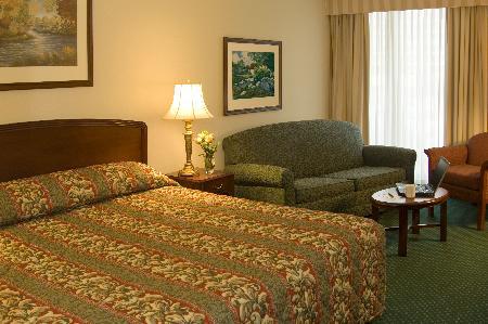 Hotel Carlingview Toronto Airport Mississauga Rom bilde